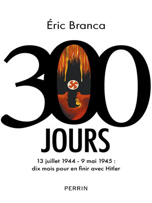 cover image of 300 Jours